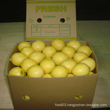 Exported Quality of Chinese Fresh Lemon/